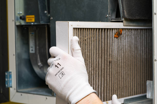 Best Air Duct Sanitizing Services  in Buffalo, NY